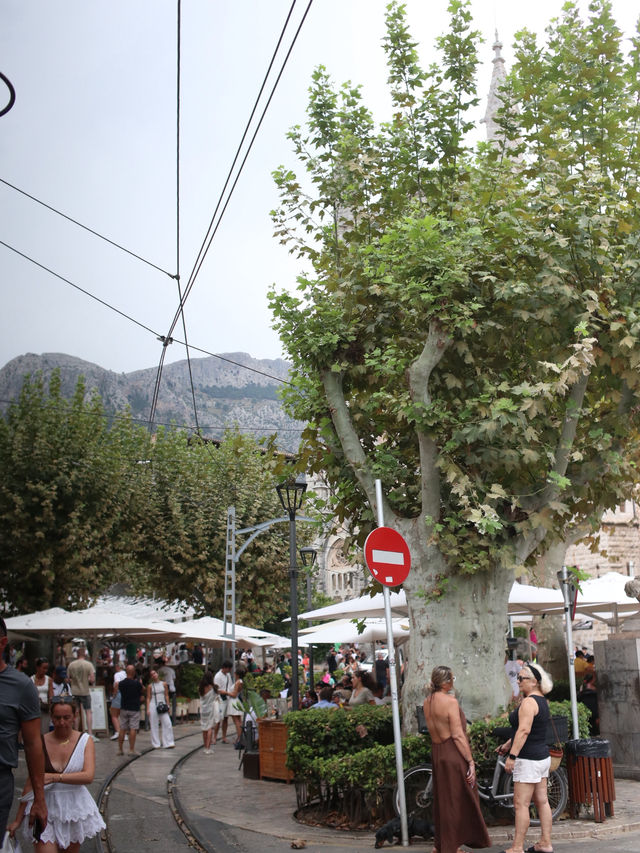 【Mallorca 索列爾 Sóller】橘子小鎮的一日浪漫之旅 🍊🚋✨