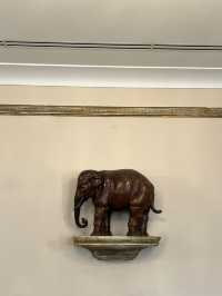 🇨🇿 卡羅維瓦利咖啡廳推薦：Café Elefant 🐘
