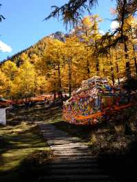 Daocheng Yading🏔️