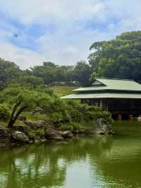 東京｜東京最美的清澄庭園 三菱創辦人的插柳成蔭