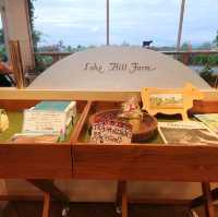 Lake Hill Farm: The Must-Try Ice Cream Spot in Toyako 🙌🍦