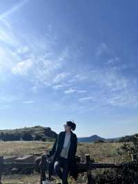 Nature Vibes Jeju🌳