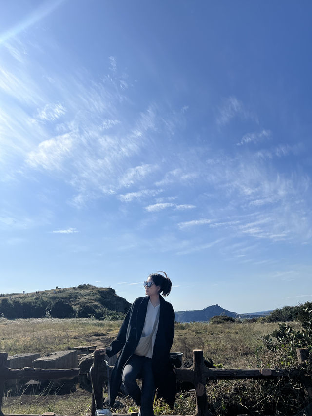 Nature Vibes Jeju🌳