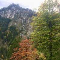 Neuschwanstein Castle: A Fairytale Escape in Bavaria