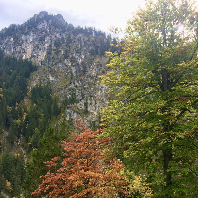 Neuschwanstein Castle: A Fairytale Escape in Bavaria