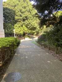 【東京都上野🇯🇵東京国立博物館　庭園】歴史に触れながらのんびり散歩☺️