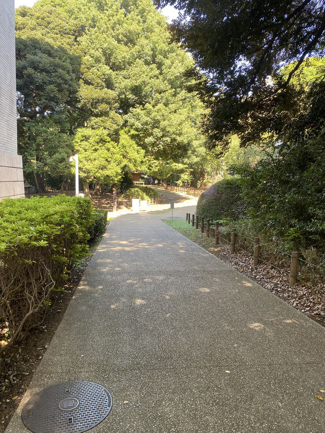 【東京都上野🇯🇵東京国立博物館　庭園】歴史に触れながらのんびり散歩☺️