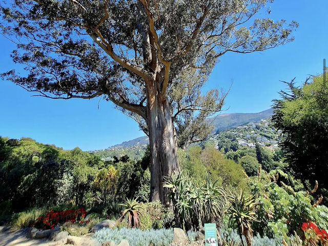 Dunedin Botanic Garden Dunedin Botanic Garden