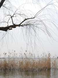 家人同遊，寫意江河湖泊日常  