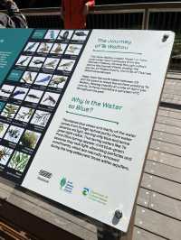 Putaruru Blue Spring (Te Waihou Walkway)