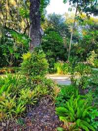 🌸 “Harry P. Leu Gardens – Orlando’s Blooming Paradise!”