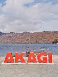 【穴場の紅葉】観光攻略付‼️赤城山で最も雄大な紅葉と水鏡の絶景を楽しむ🌊 🍁⛩️✨