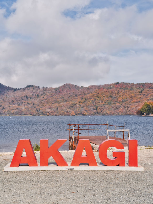 【穴場の紅葉】観光攻略付‼️赤城山で最も雄大な紅葉と水鏡の絶景を楽しむ🌊 🍁⛩️✨