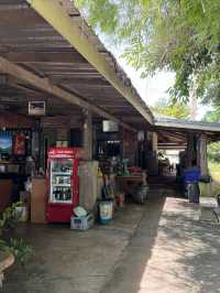 ร้านพิราบขาว อาหารป่า อ.สูงเนิน โคราช