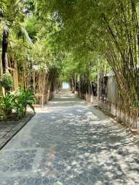 ชวนเที่ยว : Phi Phi CoCo Beach Resort