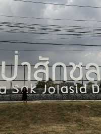 เขื่อนป่าสักชลสิทธิ์ ลพบุรี 🌄