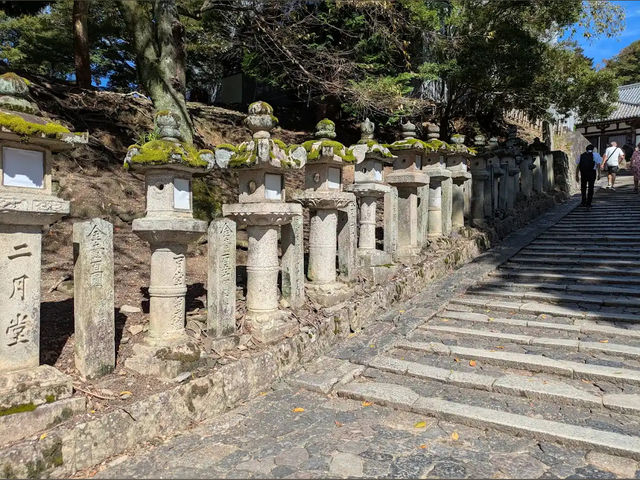 도다이읻