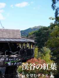 天岩戸渓谷を望むテラス 秋は紅葉が・・