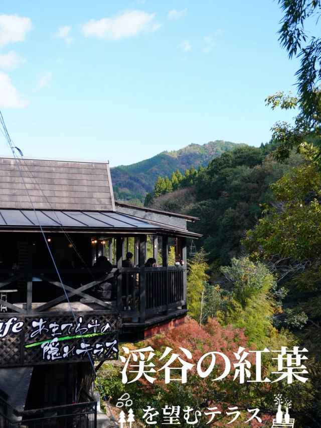 天岩戸渓谷を望むテラス 秋は紅葉が・・