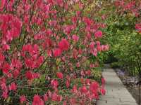 Sissinghurst Castle Garden