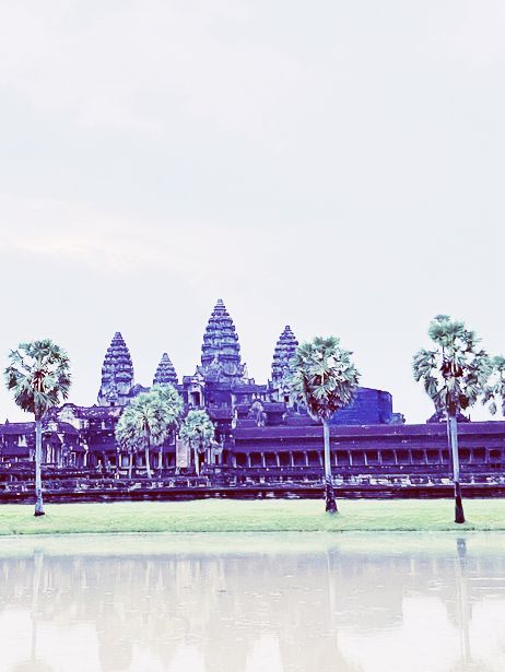 🌅 Angkor Wat Sunrise: When Ancient Stones Catch Fire with Dawn's First Light! 🏛️