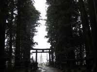 Fujiyoshida Forest Gem🌲