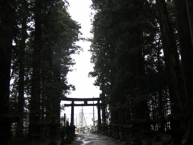 Fujiyoshida Forest Gem🌲