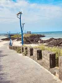Coastal Walk and Scenic Bridge Views