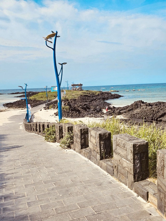 Coastal Walk and Scenic Bridge Views