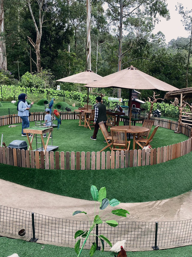 Dusun Bambu - Lembang 