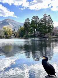 🍁 Autumn in Yufuin — Strolling Around Lake Kinrin