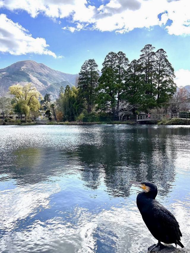 🍁 Autumn in Yufuin — Strolling Around Lake Kinrin