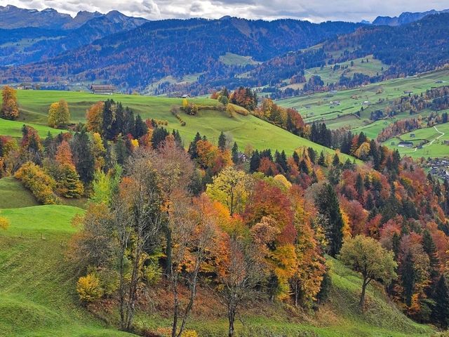 Swiss Alps