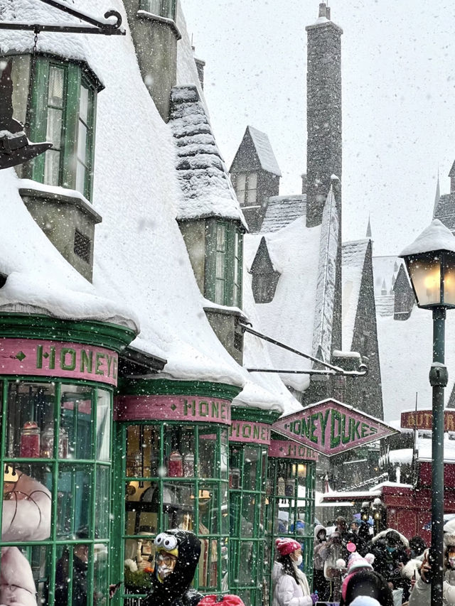 Already looking forward to snowy Universal Studios Beijing! ❄️❄️