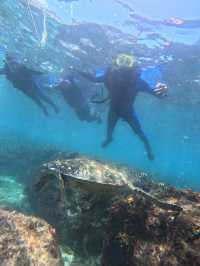 🐚 小琉球陽光海島兩日遊|潛水・獨木舟・電動車環島 🌊☀️