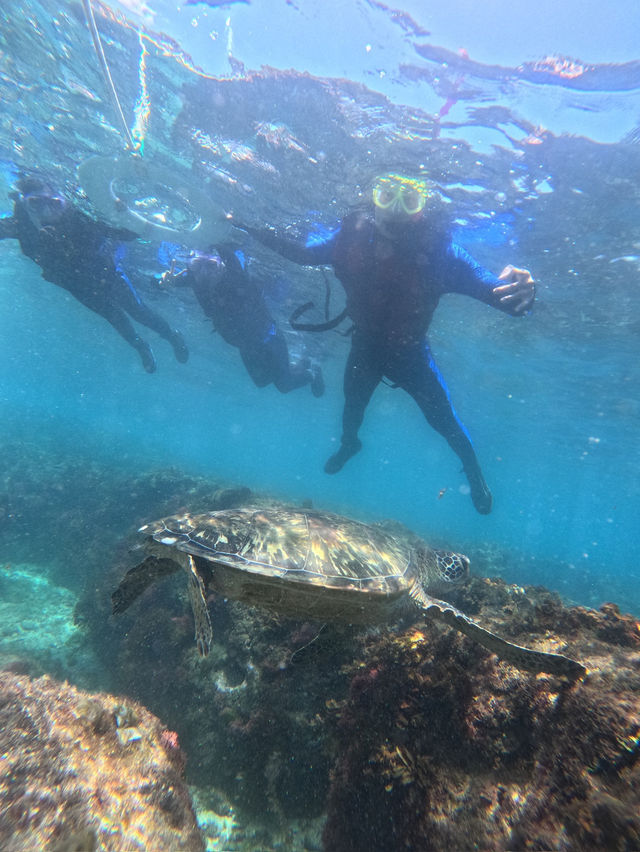 🐚 小琉球陽光海島兩日遊|潛水・獨木舟・電動車環島 🌊☀️ 🐚 小琉球陽光海島兩日遊|潛水・獨木舟・電動車環島 🌊☀️