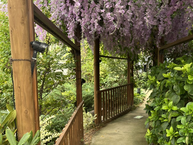 大阪5日遊打卡路線