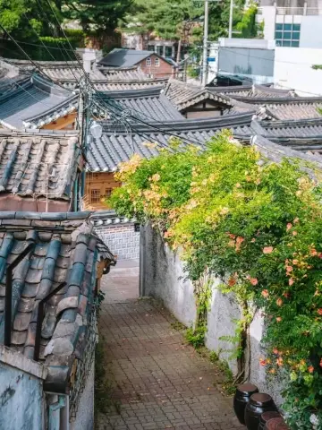 首爾最佳地區之一。我非常喜歡這個社區，對行走者來說坡度很陡，但非常具有典型特色。