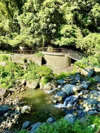 北投最夯的景點~草山觀瀑吊橋及猴崁古道走走