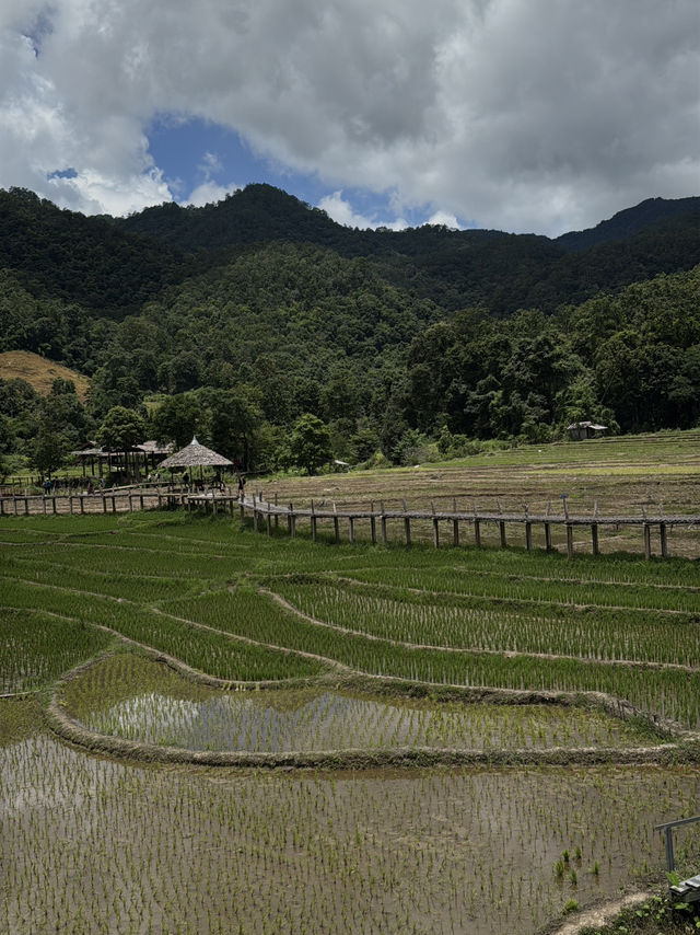 Chiang Mai 5 Days Itinerary