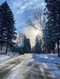 🌲 Fish Creek Provincial Park – Calgary’s Wild Urban Wilderness