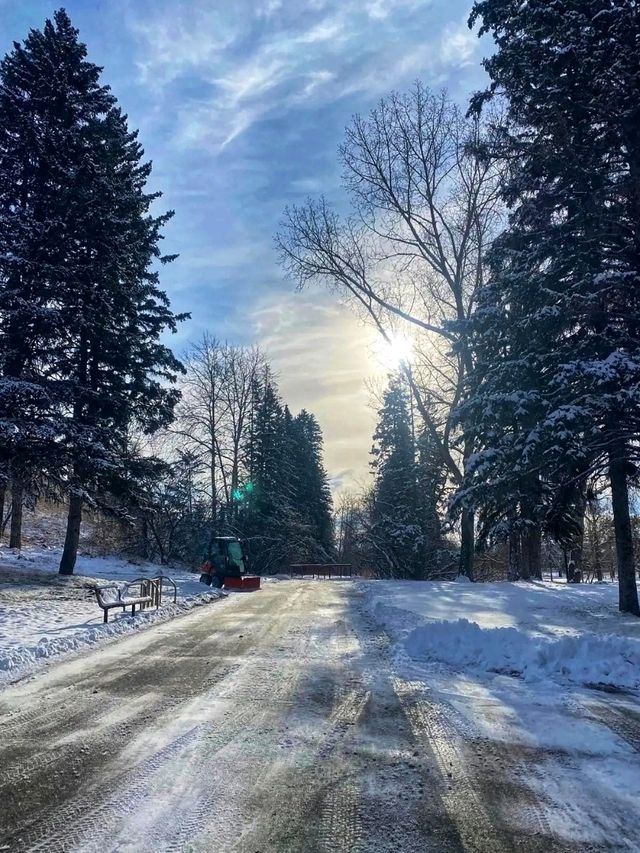 🌲 Fish Creek Provincial Park – Calgary’s Wild Urban Wilderness 🌲 Fish Creek Provincial Park – Calgary’s Wild Urban Wilderness