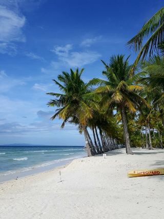 🌊✨ 薄荷島海灘俱樂部 — 溫馨難忘的度假體驗 ✨🌊

🏝️ 如果您正在尋找一個能讓您感受到寧靜、放鬆，並真正體驗海濱風情的地方，而且距離清澈見底的海水僅幾步之遙，那麼薄荷島海灘俱樂部就是您巴厘島度假的完美之選……呃！薄荷島！ 😆💙

從您下車到房間的那一刻起，就能感受到無比溫馨的氛圍。

員工熱情友好，令人賓至如歸 😊✨

服務如此周到，讓您感覺像是在拜訪朋友的海濱別墅，而不是入住豪華酒店。

🌴 讓我愛上這裡的原因

🌅 私人海灘，海水清澈見底，是漫步沙灘的理想選擇。

🏖️ 沙灘椅無比柔軟舒適，景色迷人，讓您流連忘返。

🌿 花園裝潢簡約，卻總是鬱鬱蔥蔥，綠意盎然。

🛏️ 房間寬敞、乾淨、芬芳、整潔。

🍹 這裡有許多休閒放鬆的角落和絕佳的拍照地點，讓你輕鬆拍出美照。

🌟 從抵達至退房，五星級的貼心服務讓你倍感舒適。

🍽️ 食物也堪稱一流！

無論是本地美食還是國際佳餚，都超乎你的預期。

清晨坐在海邊，感受著輕柔的海風和溫暖的陽光，令人心曠神怡☀️💛

這裡是那些想要放鬆身心又不想遠行的人的理想之選。

💙 整體印象

氣氛極佳，美食可口，房間舒適，員工熱情友善。

如果您正在尋找一家擁有「美麗、寧靜、時尚且服務熱情」氛圍的海濱住宿，

那麼，薄荷島海灘俱樂部 (Bohol Beach Club) 絕對是您一生中至少應該去一次的地方。 ✨😌💖

📸 記得收藏這些標籤，分享美照！

#BoholBeachClub #BoholPhilippines #BeachVibes #TravelReview #AccommodationReview #PhilippineBeach #MustVisitForChillers #ClearSea #RelaxingRecharge #VisitBohol
