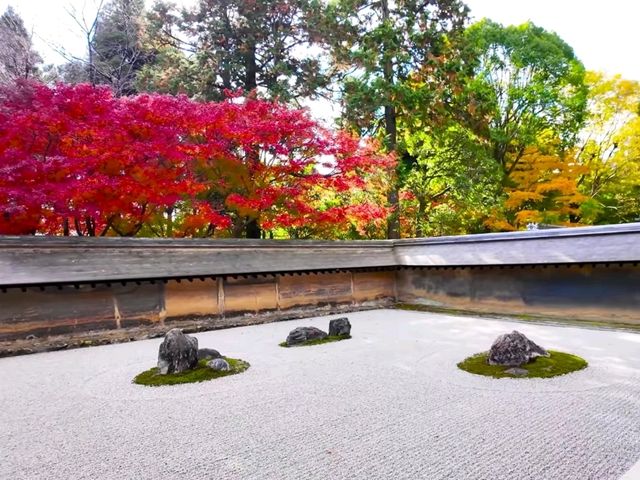 京都龍安寺秋日賞楓必到秘境🍁一場視覺與心靈的雙重盛宴