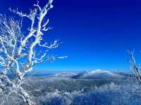 Winter Dreamland in Datudingzi Mountain ❄️🧊☃️♥️