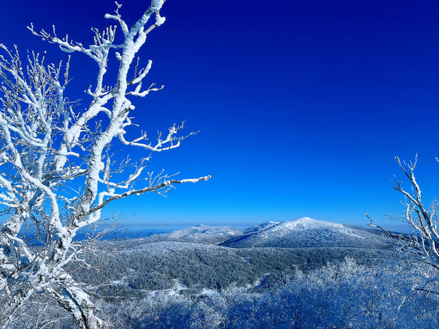 Winter Dreamland in Datudingzi Mountain ❄️🧊☃️♥️ Winter Dreamland in Datudingzi Mountain ❄️🧊☃️♥️