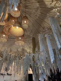 Rainforest Escape🌴