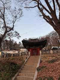 Colorful Mural Vibes🎨