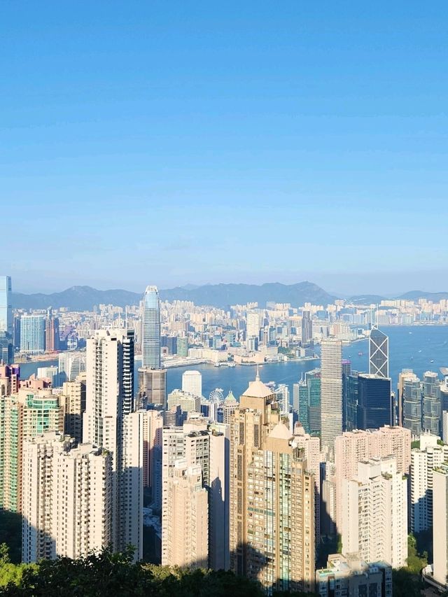 💫香港美食、景點個人推薦💫 💫香港美食、景點個人推薦💫