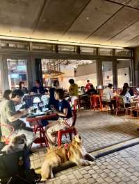 西九海濱日式居酒屋